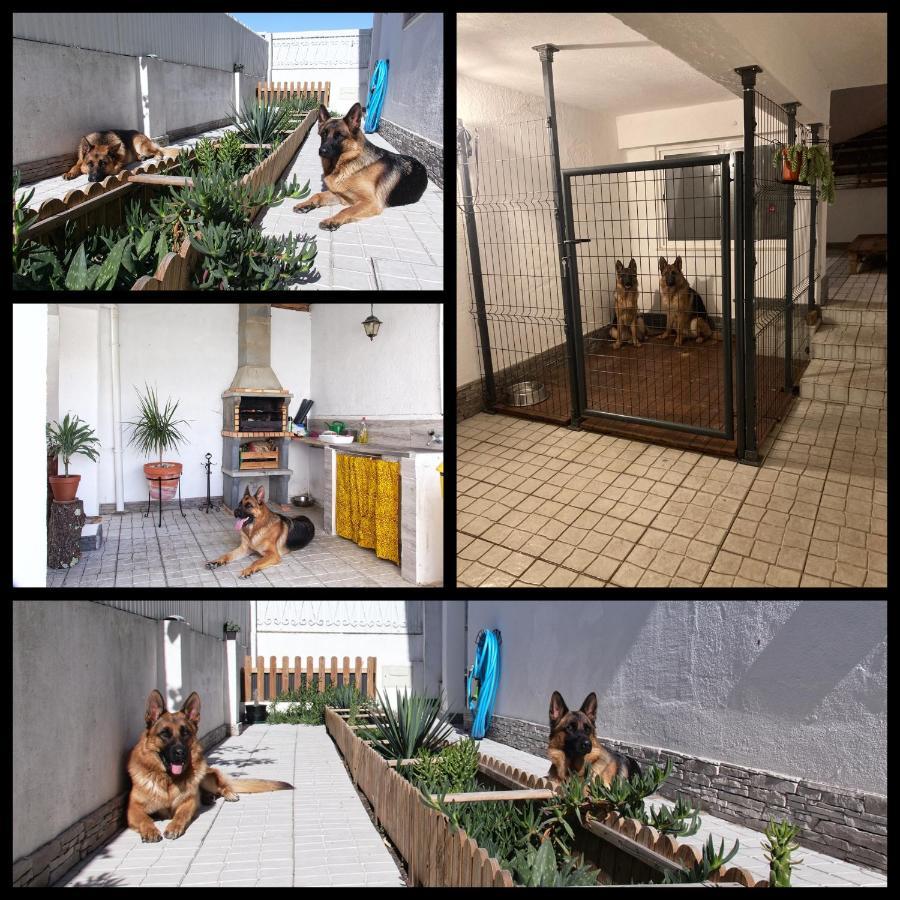 Apartamento Toca Do Lobo Charneca  Exterior foto